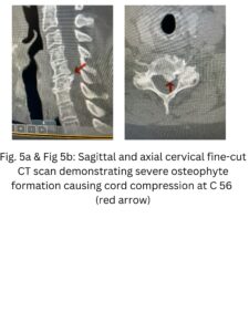 Dr. Sonstein (4)